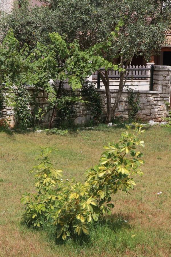 Damaskis Kassiopi Studios المظهر الخارجي الصورة